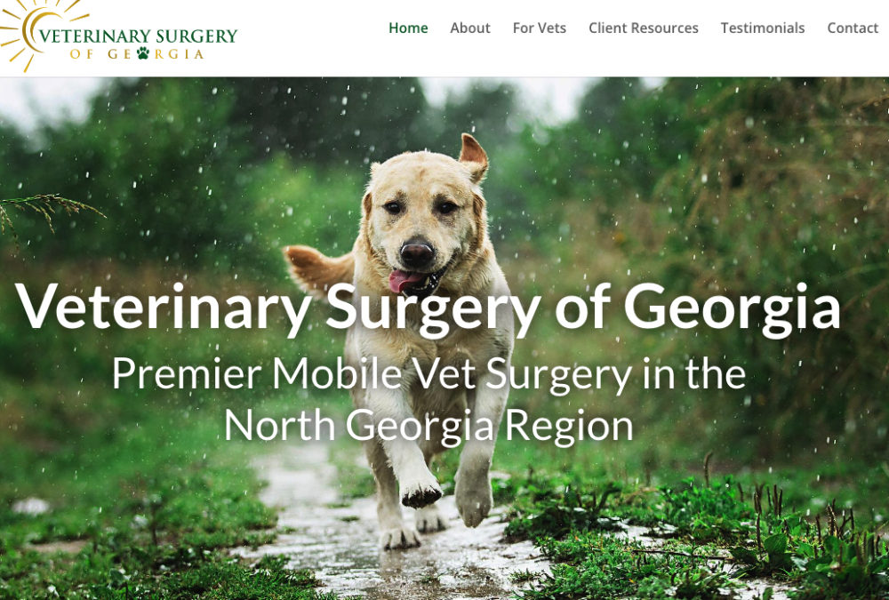 Veterinary Surgery of Georgia Web Design by TMHWebsites