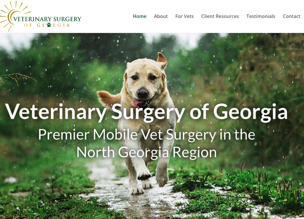 Veterinary Surgery of Georgia Web Design by TMHWebsites